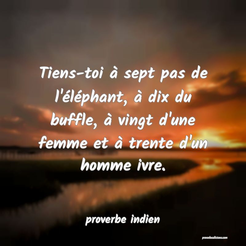 Tiens-toi à sept pas de l'éléphant, à dix du buffle, à vingt d'une femme et à trente d'un homme ivre.