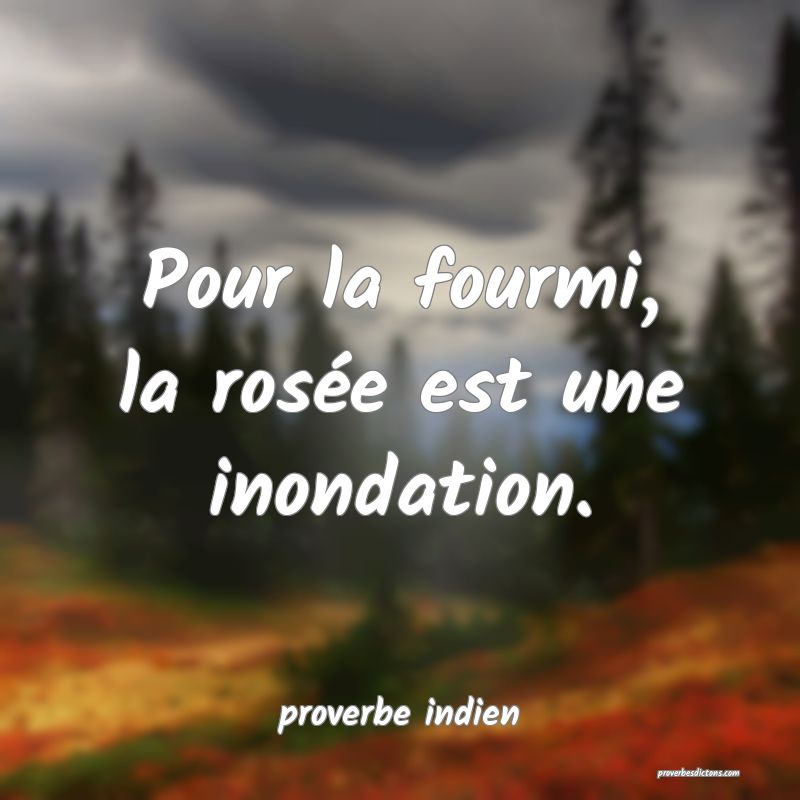 Pour la fourmi, la rosée est une inondation.