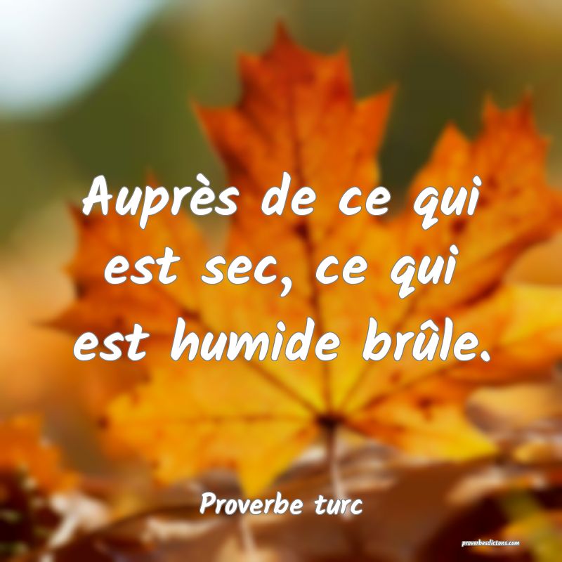 Auprès de ce qui est sec, ce qui est humide brûle.