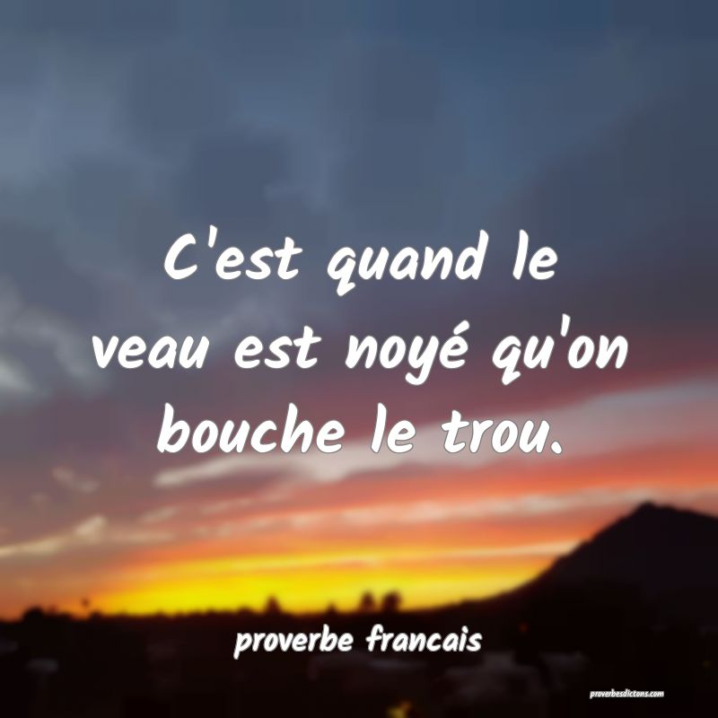 C'est quand le veau est noyé qu'on bouche le trou.