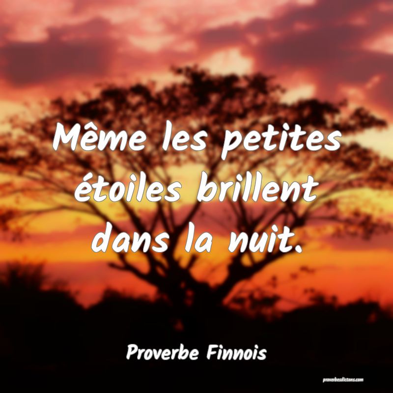  Même les petites étoiles brillent dans la nuit.