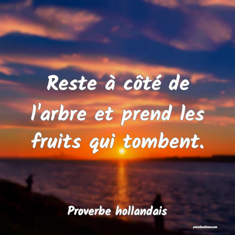 Reste à côté de l'arbre et prend les fruits qui tombent.
