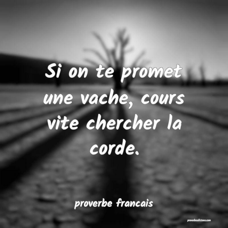 Si on te promet une vache, cours vite chercher la corde.