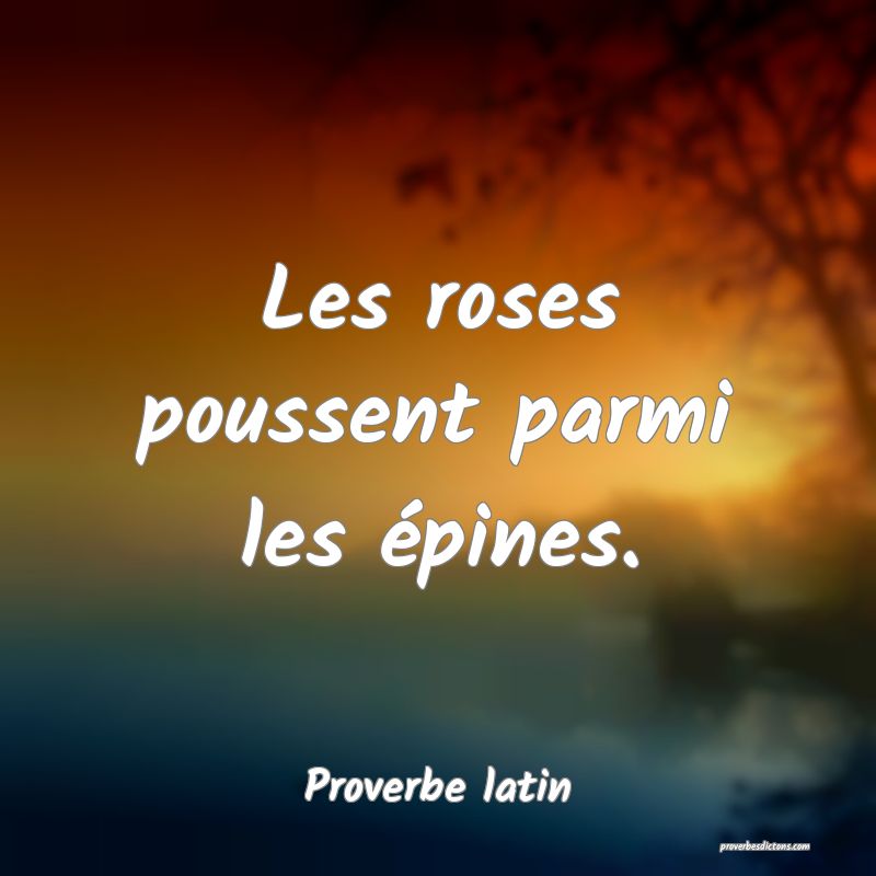 Les roses poussent parmi les épines.