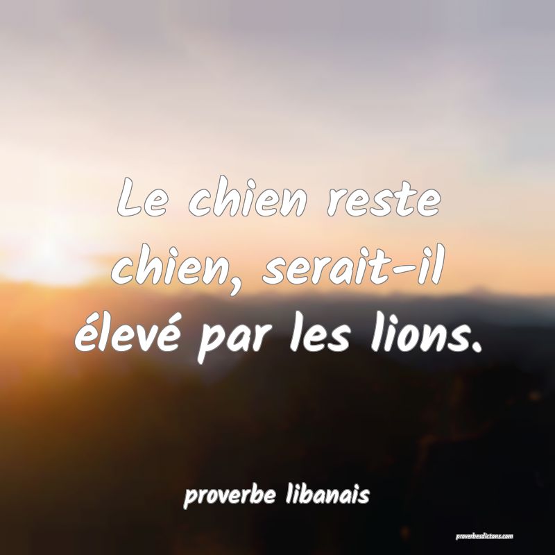 Le chien reste chien, serait-il élevé par les lions.