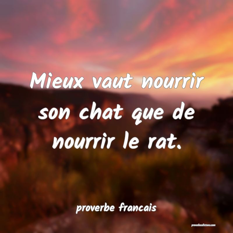 Mieux vaut nourrir son chat que de nourrir le rat.