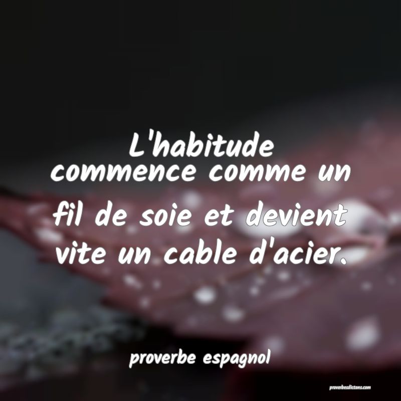  L'habitude commence comme un fil de soie et devient vite un cable d'acier.