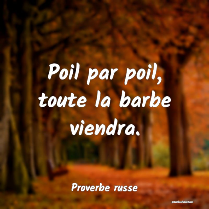 Poil par poil, toute la barbe viendra.
