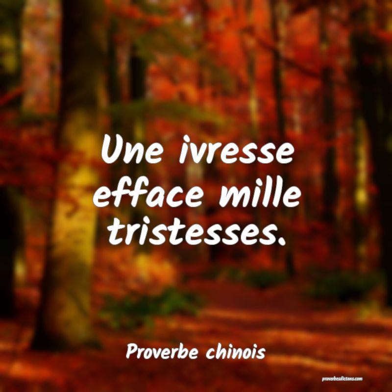 Une ivresse efface mille tristesses.