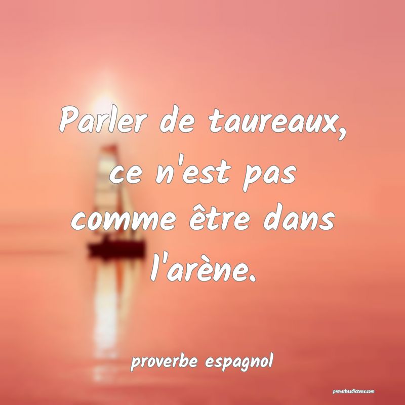  Parler de taureaux, ce n'est pas comme être dans l'arène.