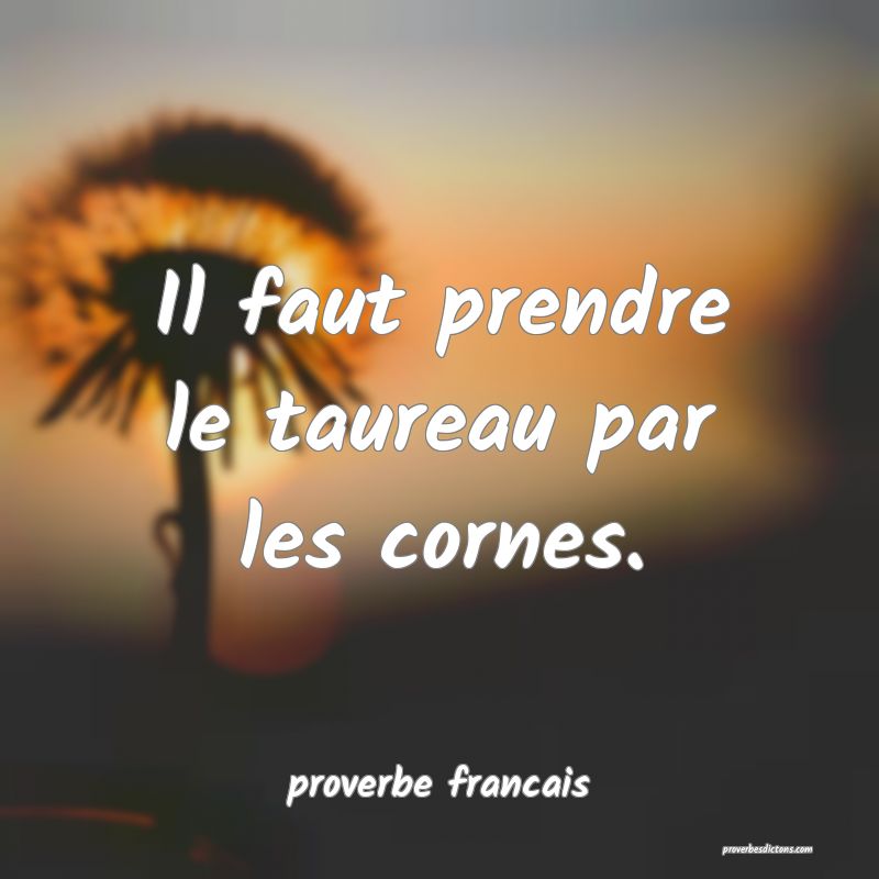 Il faut prendre le taureau par les cornes.