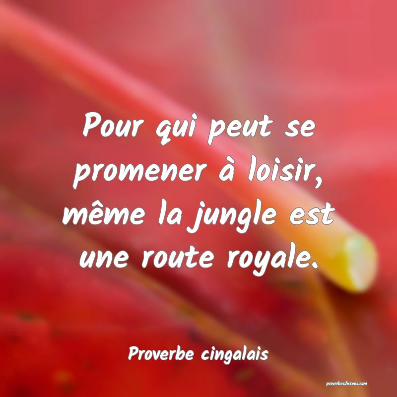 Pour qui peut se promener à loisir, même la jungle est une route royale.