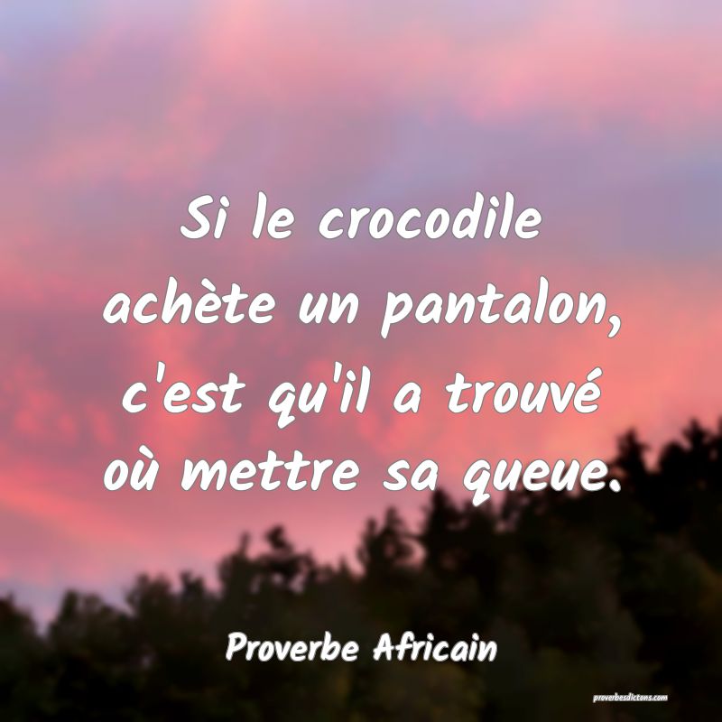 Si le crocodile achète un pantalon, c'est qu'il a trouvé où mettre sa queue.