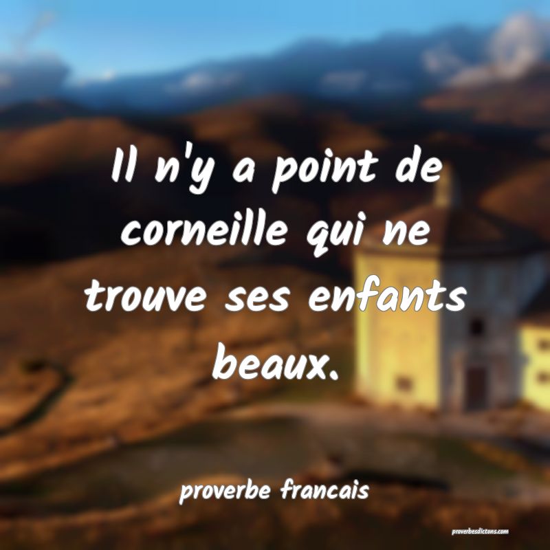Il n'y a point de corneille qui ne trouve ses enfants beaux.