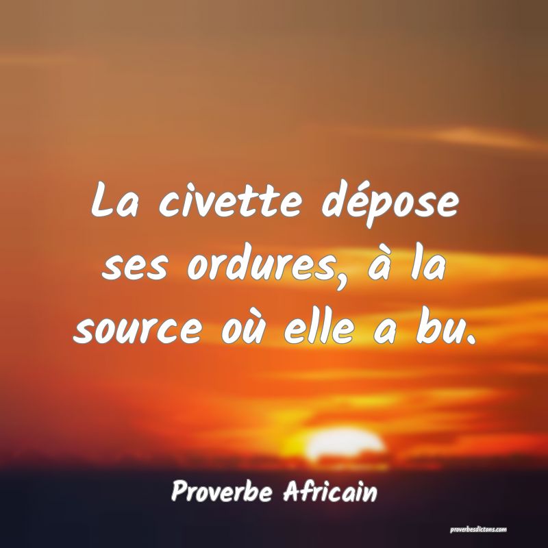 La civette dépose ses ordures, à la source où elle a bu.