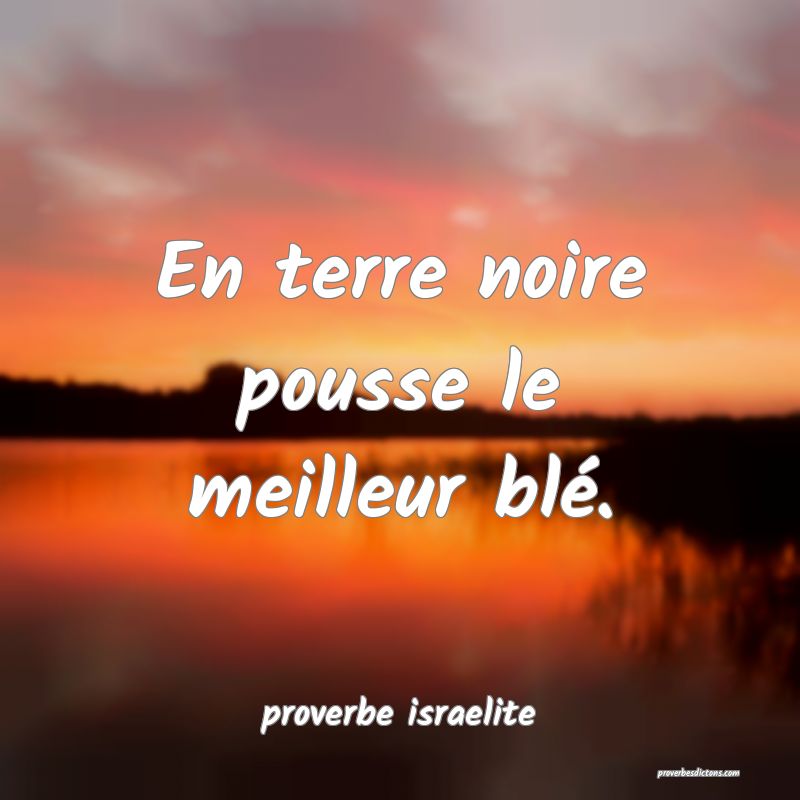  En terre noire pousse le meilleur blé.