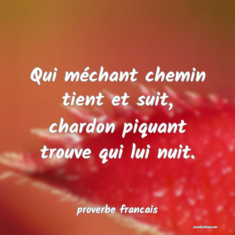Qui méchant chemin tient et suit, chardon piquant trouve qui lui nuit.