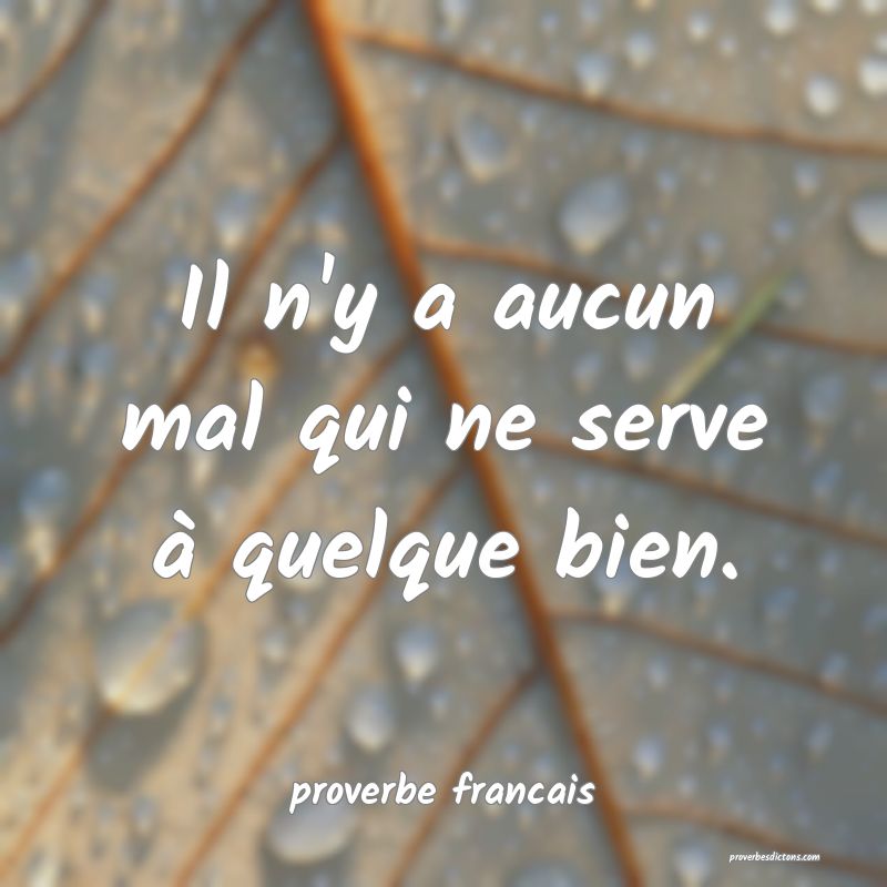 Il n'y a aucun mal qui ne serve à quelque bien.
