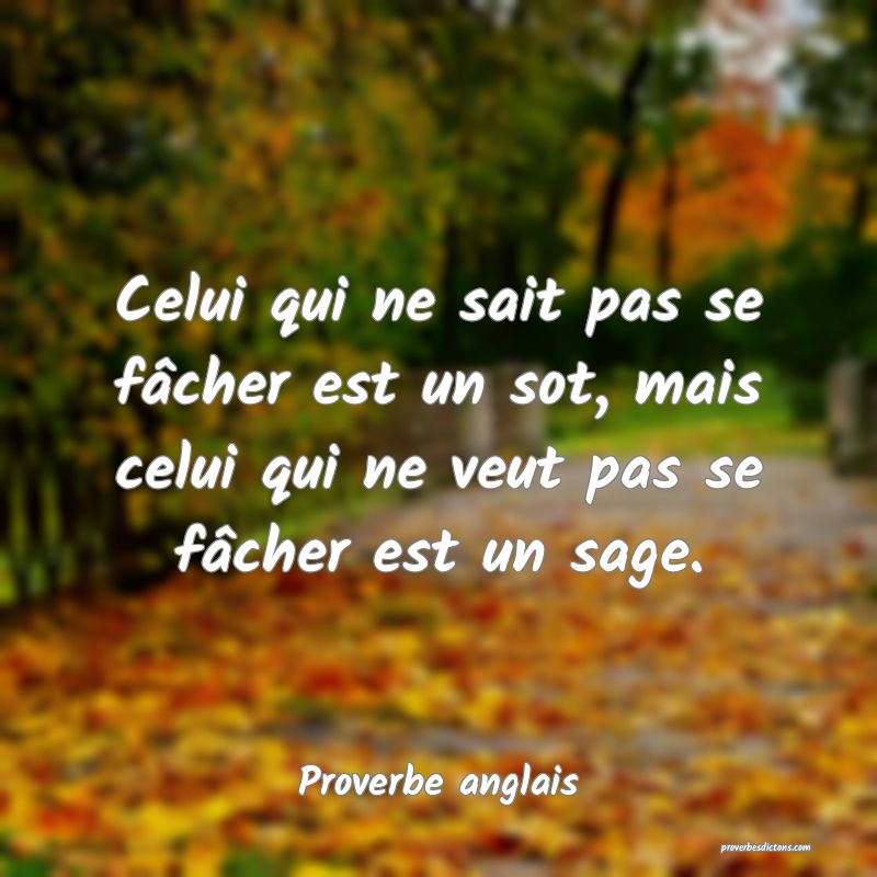  Celui qui ne sait pas se fâcher est un sot, mais celui qui ne veut pas se fâcher est un sage.