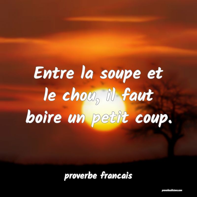 Entre la soupe et le chou, il faut boire un petit coup.