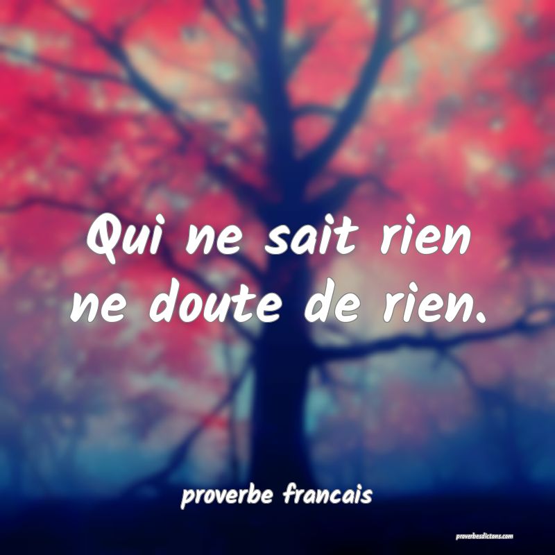 Qui ne sait rien ne doute de rien.