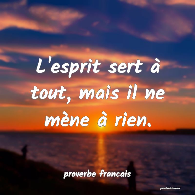  L'esprit sert à tout, mais il ne mène à rien.