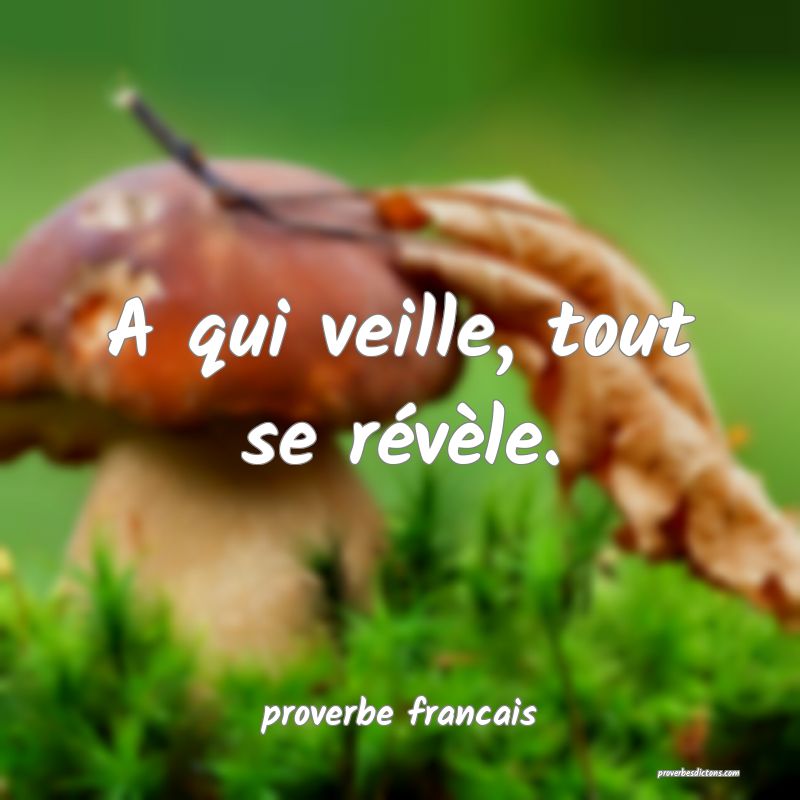 A qui veille, tout se révèle.