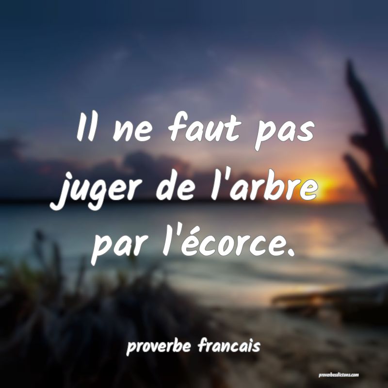 Il ne faut pas juger de l'arbre par l'écorce.