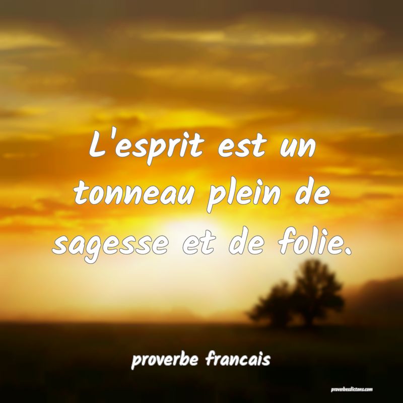 L'esprit est un tonneau plein de sagesse et de folie.