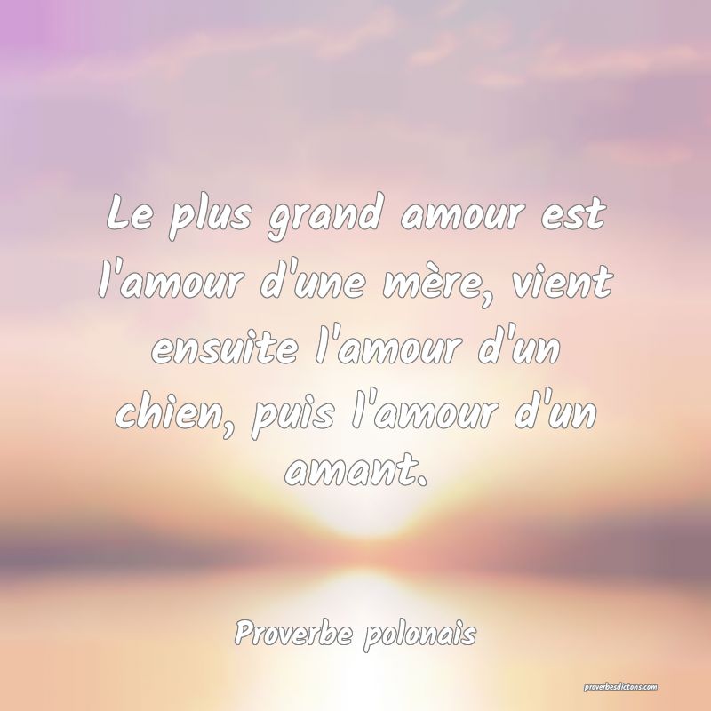 Le plus grand amour est l'amour d'une mère, vient ensuite l'amour d'un chien, puis l'amour d'un amant.
