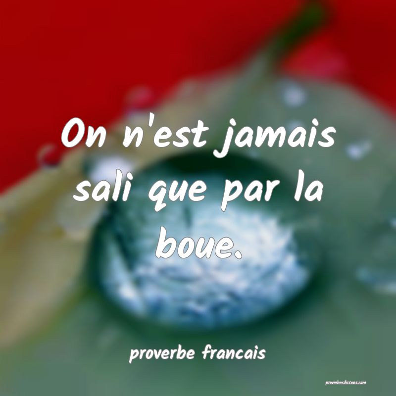 On n'est jamais sali que par la boue.