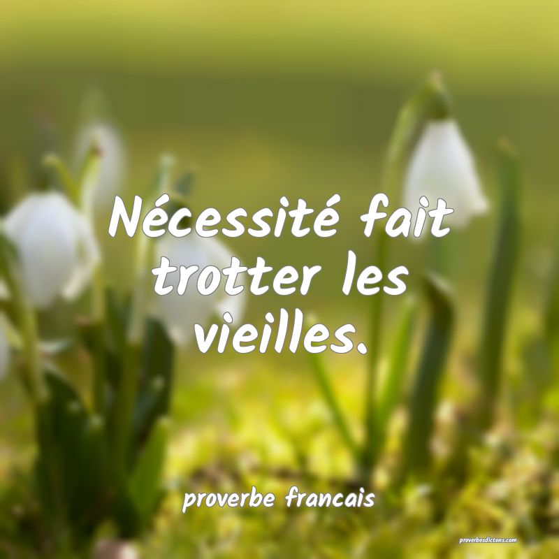 Nécessité fait trotter les vieilles.