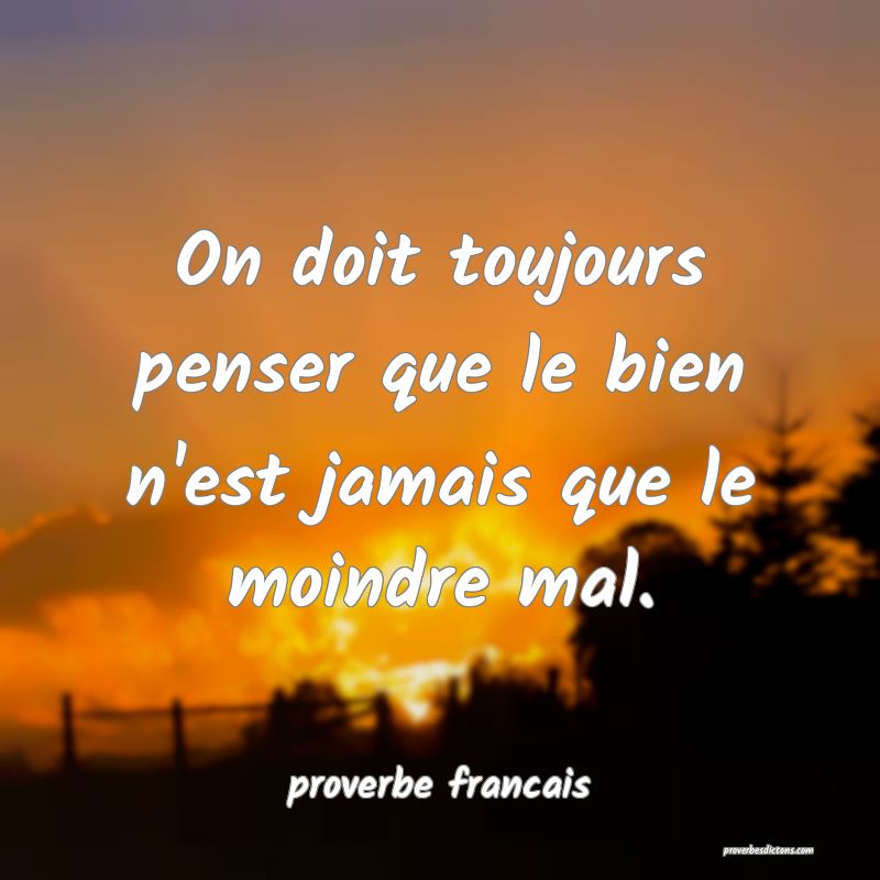 On doit toujours penser que le bien n'est jamais que le moindre mal.