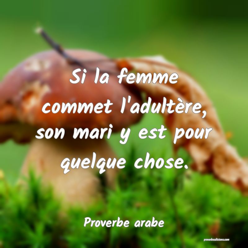 Si la femme commet l'adultère, son mari y est pour quelque chose.