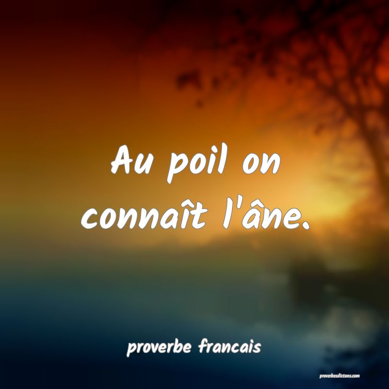 Au poil on connaît l'âne.