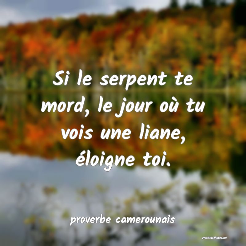  Si le serpent te mord, le jour où tu vois une liane, éloigne toi.