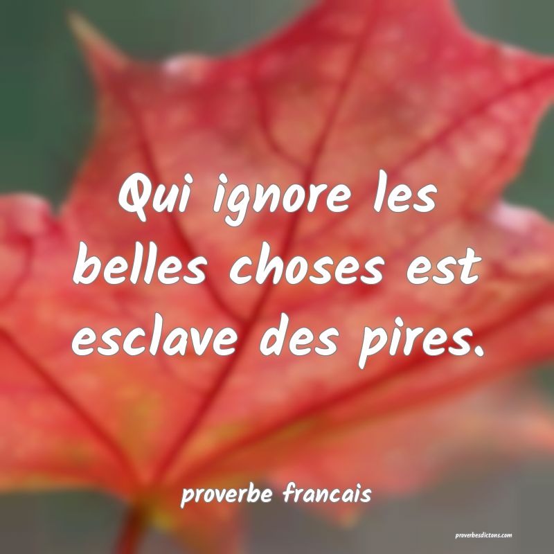 Qui ignore les belles choses est esclave des pires.