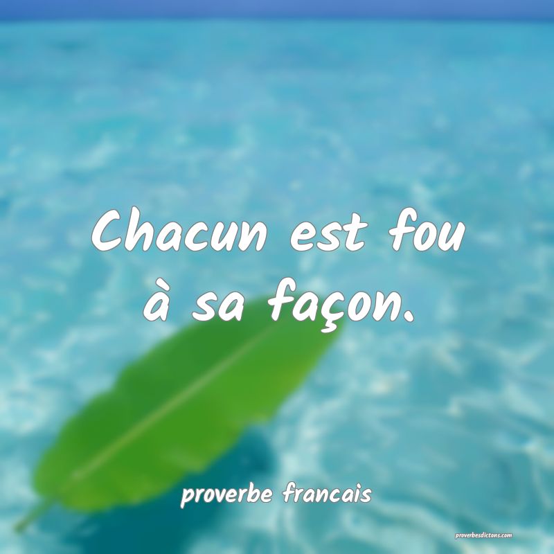 Chacun est fou à sa façon.