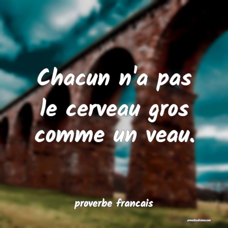 Chacun n'a pas le cerveau gros comme un veau.