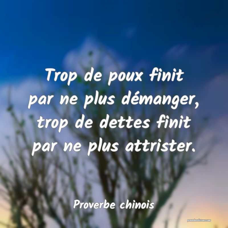 Trop de poux finit par ne plus démanger, trop de dettes finit par ne plus attrister.