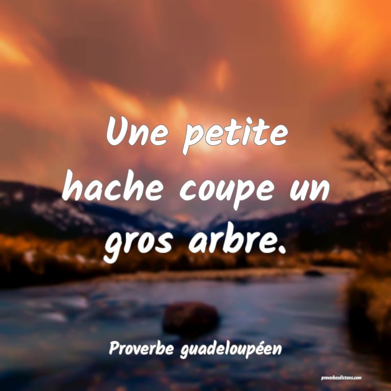 Une petite hache coupe un gros arbre.