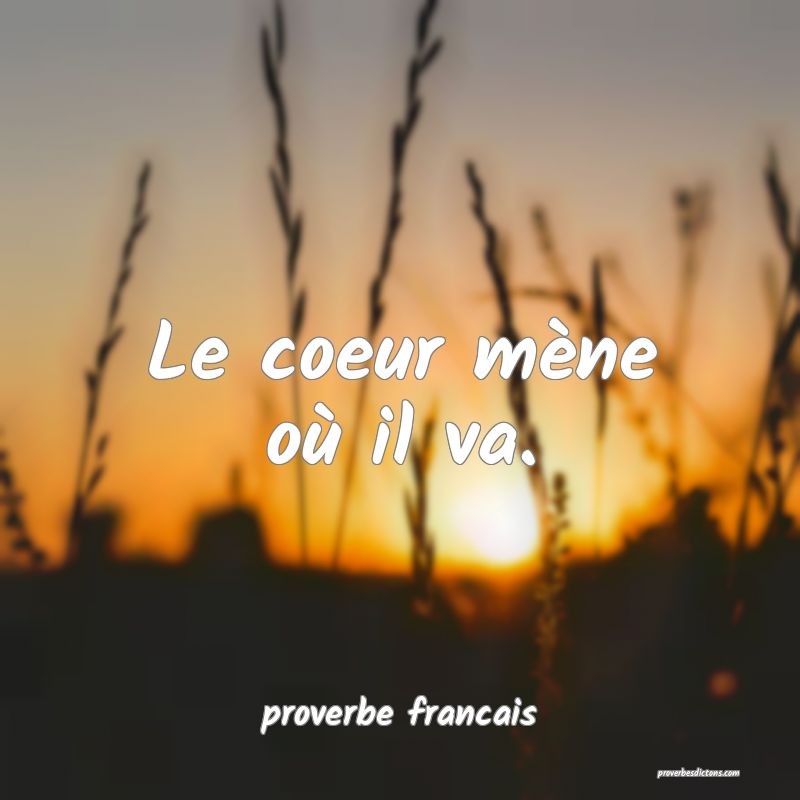 Le coeur mène où il va.