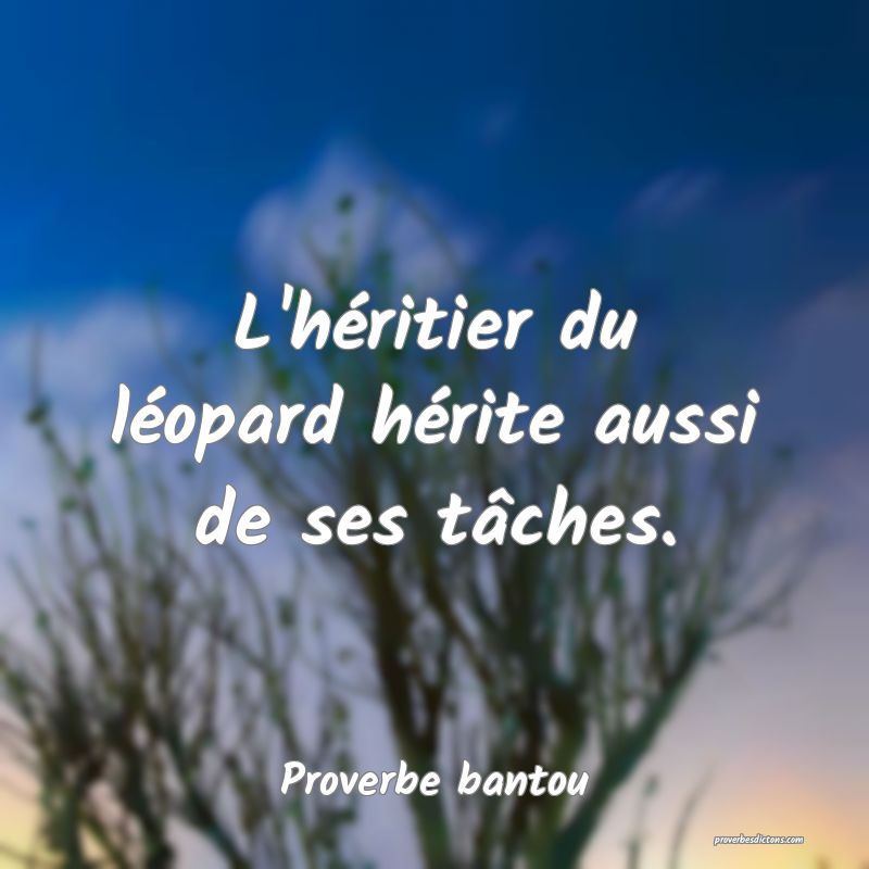 L'héritier du léopard hérite aussi de ses tâches.