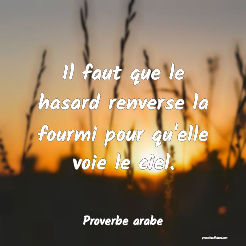 Il faut que le hasard renverse la fourmi pour qu'elle voie le ciel.
