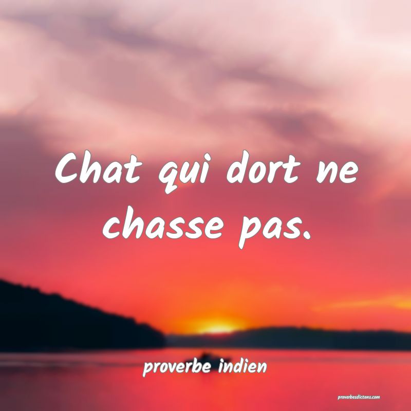 Chat qui dort ne chasse pas.