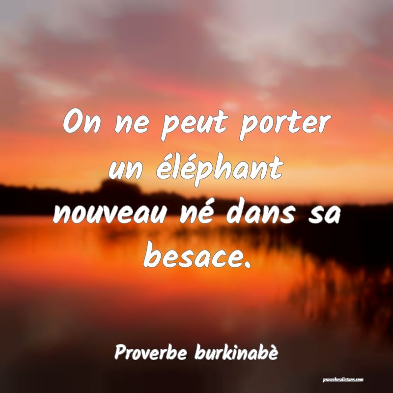 On ne peut porter un éléphant nouveau né dans sa besace.