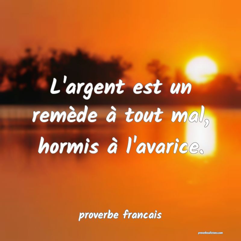 L'argent est un remède à tout mal, hormis à l'avarice.