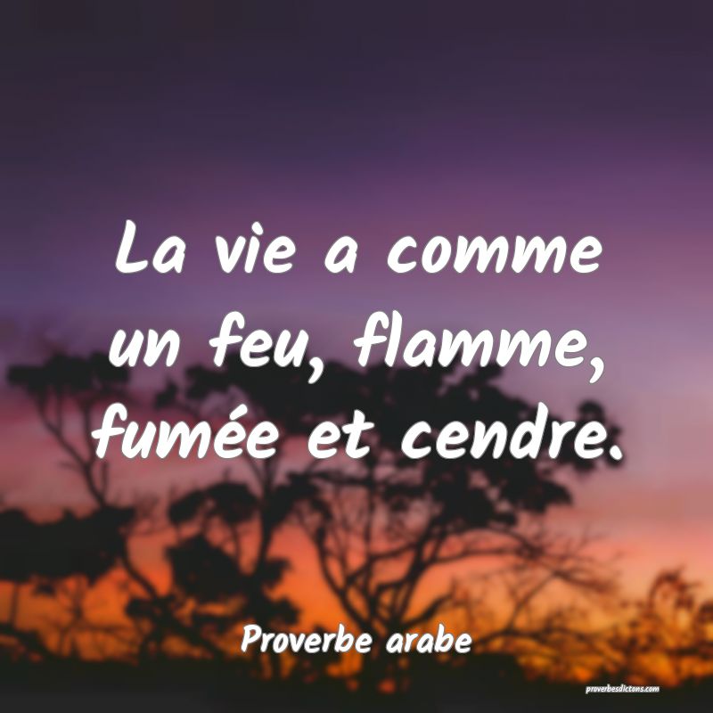 La vie a comme un feu, flamme, fumée et cendre.