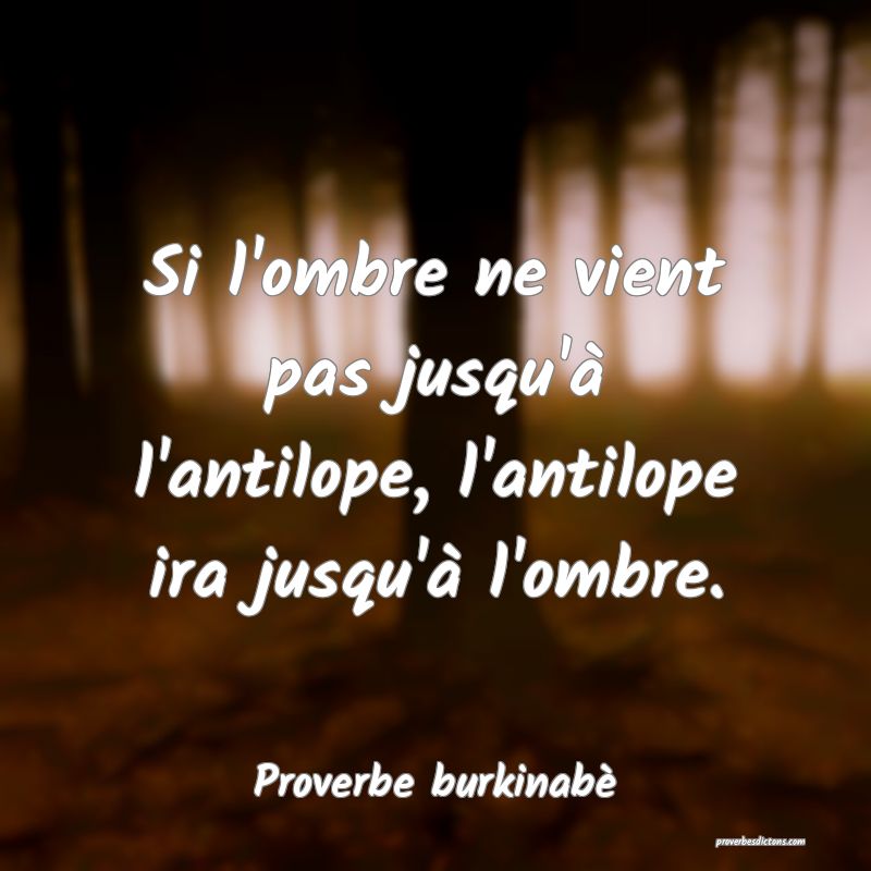  Si l'ombre ne vient pas jusqu'à l'antilope, l'antilope ira jusqu'à l'ombre.