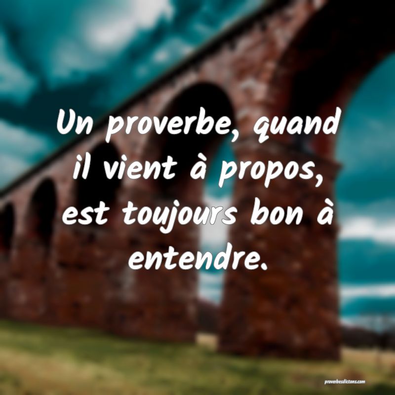 Un proverbe, quand il vient à propos, est toujours bon à entendre.